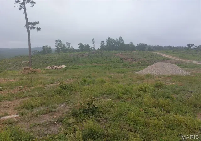 Homes for sale in Belleview, MO | 1 Tract 1 Off Hwy O, Belleview, MO 63623 | MLS# MIS26036142
