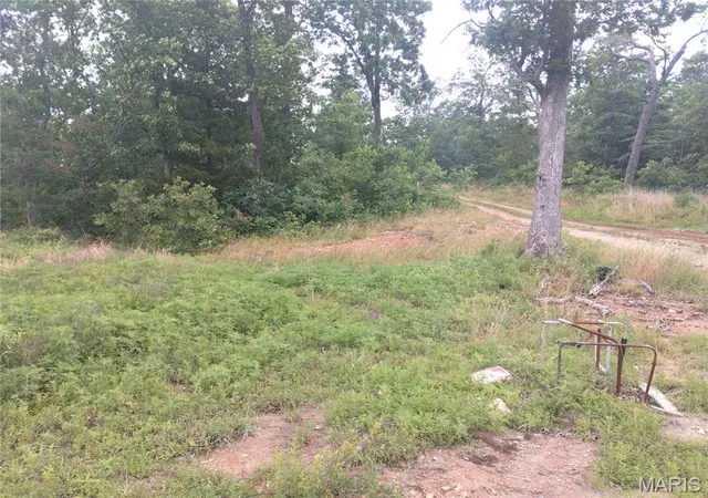 Photo 3 of Land for sale at 11 Tract 11 Off Hwy O, Belleview, MO 63623 | MLS# MIS26036148 | Listing updated on 2026-06-10