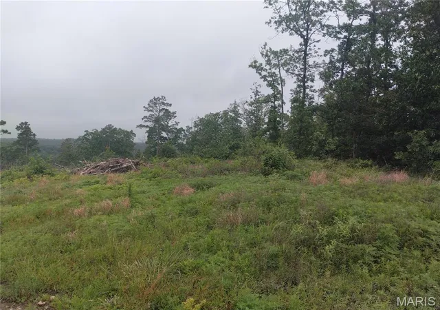 Homes for sale in Belleview, MO | 11 Tract 11 Off Hwy O, Belleview, MO 63623 | MLS# MIS26036148