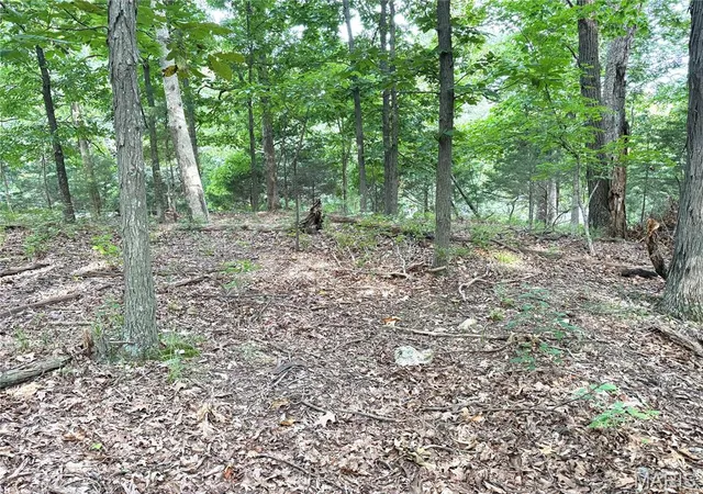 4th image of 17134 Hidden Valley Frst, Eureka, MO 63025 | MLS# MIS26036171