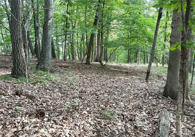 5th image of 17134 Hidden Valley Frst, Eureka, MO 63025 | MLS# MIS26036171