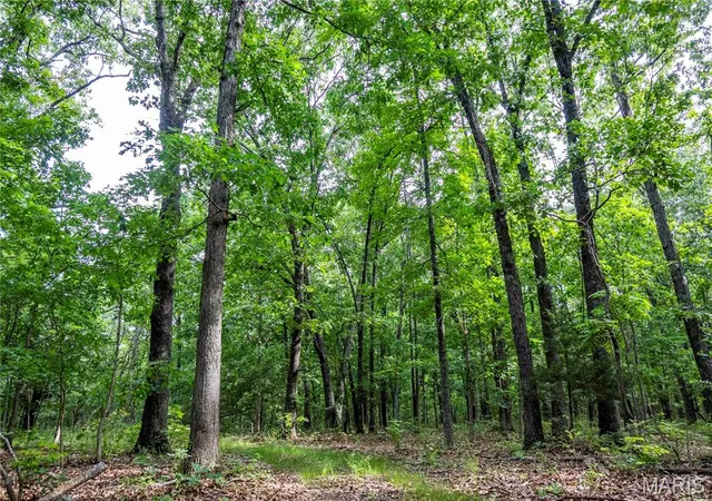 Homes for sale in Hartville, MO | 00 Abram Rd, Hartville, MO 65667 | MLS# MIS26036172
