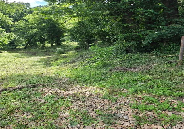 Homes for sale in Dixon, MO | 10 Acre Lot 4   Hartford Rd, Dixon, MO 65459 | MLS# MIS26036366