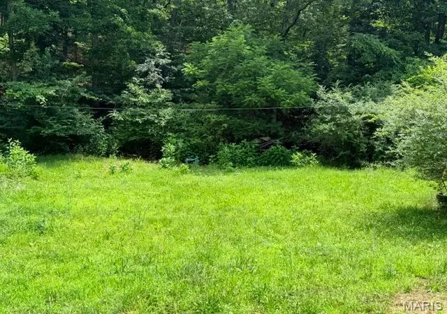 6th image of 0 Ne 6th Street, Mill Spring, MO 63952 | MLS# MIS26036414