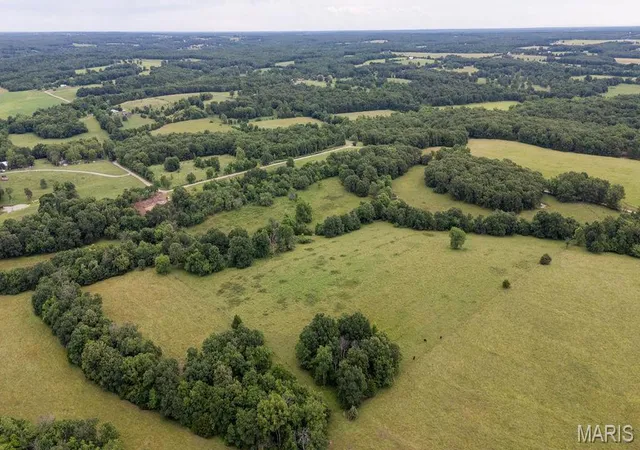 Homes for sale in Halfway, MO | 30 +/  Ac S 220th Rd, Halfway, MO 65663 | MLS# MIS26036482