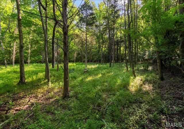 3rd image of 3701 Bear Tooth Ln, Wildwood, MO 63069 | MLS# MIS26036489