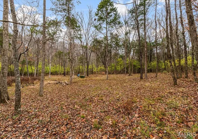 4th image of 3701 Bear Tooth Ln, Wildwood, MO 63069 | MLS# MIS26036489