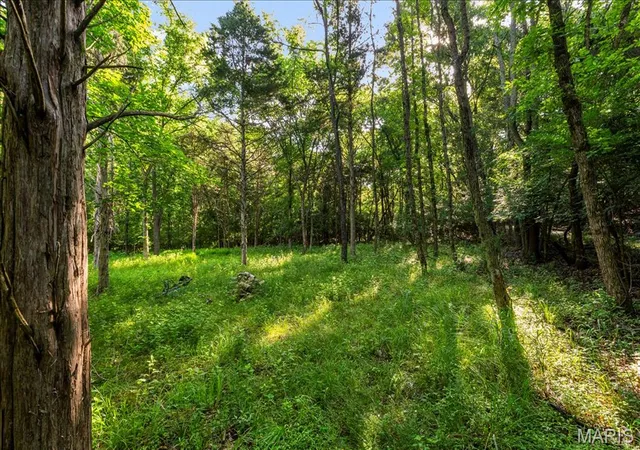 5th image of 3701 Bear Tooth Ln, Wildwood, MO 63069 | MLS# MIS26036489
