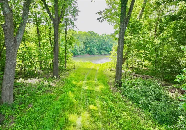 Homes for sale in Unincorporated, MO | Tbd Range Ln Tract 5, Unincorporated, MO 65556 | MLS# MIS26036621