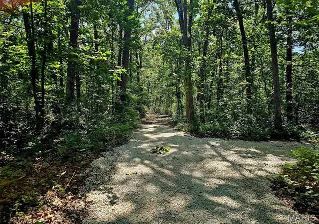3rd image of 8+/- Ac Walker Rd, Troy, MO 63379 | MLS# MIS26036625