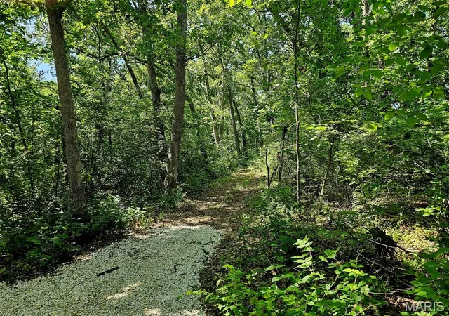 4th image of 8+/- Ac Walker Rd, Troy, MO 63379 | MLS# MIS26036625
