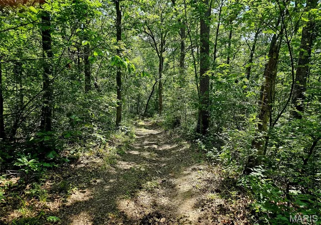 5th image of 8+/- Ac Walker Rd, Troy, MO 63379 | MLS# MIS26036625