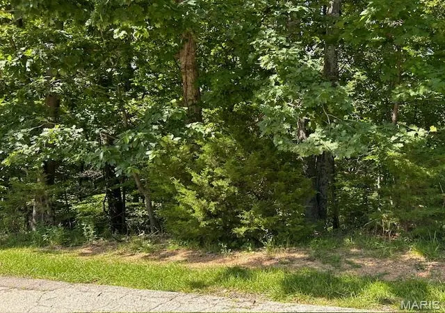 1st image of 817 Wildflower Valley Dr, High Ridge, MO 63049 | MLS# MIS26036641
