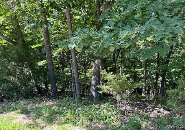 3rd image of 817 Wildflower Valley Dr, High Ridge, MO 63049 | MLS# MIS26036641