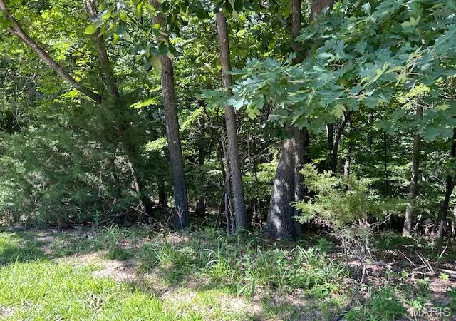 4th image of 817 Wildflower Valley Dr, High Ridge, MO 63049 | MLS# MIS26036641