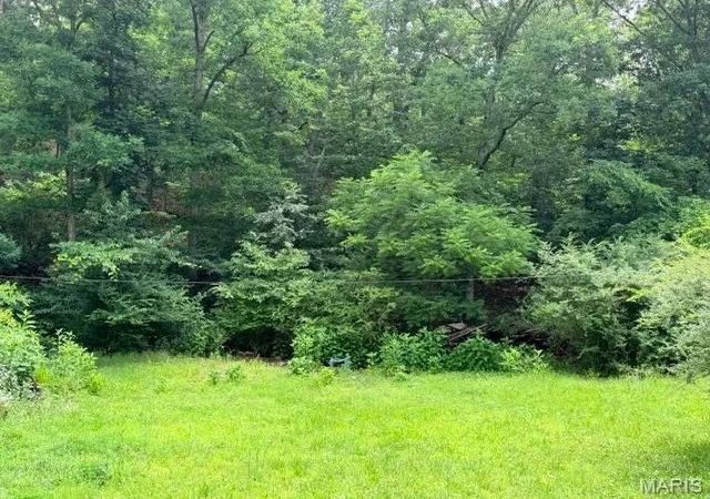 1st image of 00 Ne 6th Street, Mill Spring, MO 63952 | MLS# MIS26036696