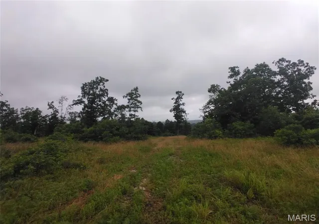 Homes for sale in Belleview, MO | 12 Tract 12, Belleview, MO 63623 | MLS# MIS26036757
