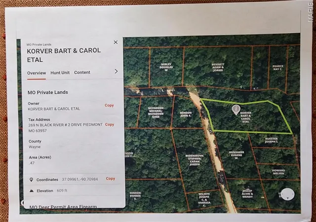 Homes for sale in Piedmont, MO | 0 County Road 453, Piedmont, MO 63957 | MLS# MIS26036771