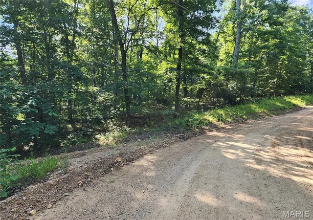 Homes for sale in Piedmont, MO | 0 County Road 453, Piedmont, MO 63957 | MLS# MIS26036771