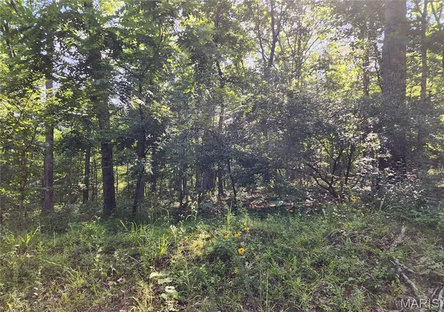 Homes for sale in Piedmont, MO | 0 County Road 453, Piedmont, MO 63957 | MLS# MIS26036771