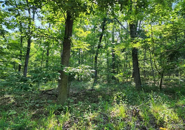 Homes for sale in Piedmont, MO | 0 County Road 453, Piedmont, MO 63957 | MLS# MIS26036771