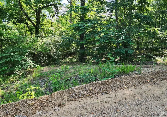Homes for sale in Piedmont, MO | 0 County Road 453, Piedmont, MO 63957 | MLS# MIS26036771