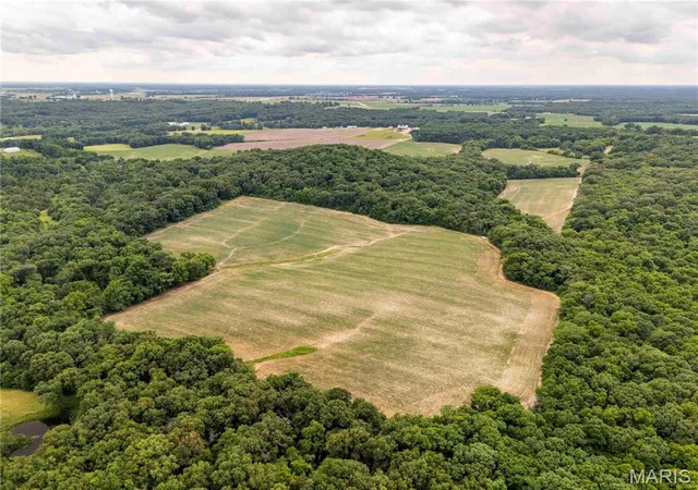 Homes for sale in Bowling Green, MO | 14925 Hwy Uu, Bowling Green, MO 63334 | MLS# MIS26036813