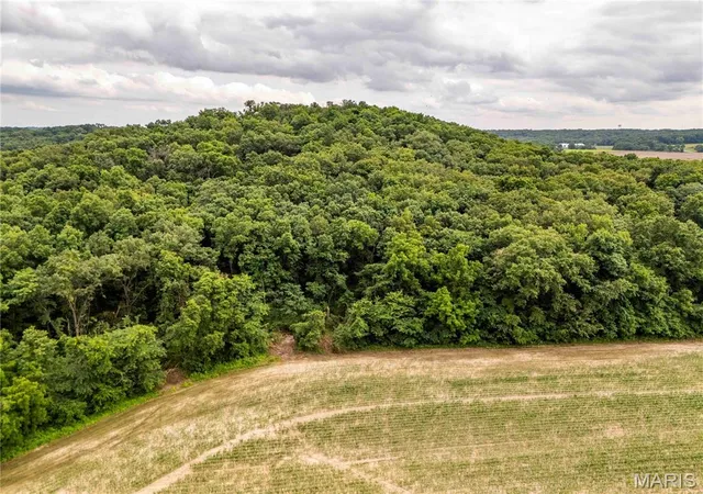 Homes for sale in Bowling Green, MO | 14925 Hwy Uu, Bowling Green, MO 63334 | MLS# MIS26036813