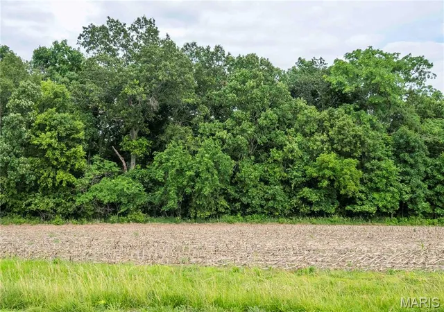 Homes for sale in Bowling Green, MO | 14925 Hwy Uu, Bowling Green, MO 63334 | MLS# MIS26036813