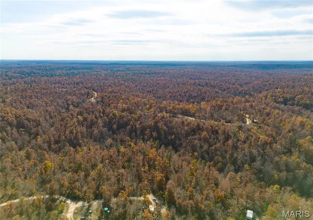 Homes for sale in Birch Tree, MO | 15682 Winding Trail, Birch Tree, MO 65438 | MLS# MIS26036848