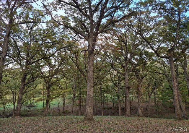 Homes for sale in Eolia, MO | 0 Hwy D - Tract 5B (109+/- Acres), Eolia, MO 63344 | MLS# MIS26036900
