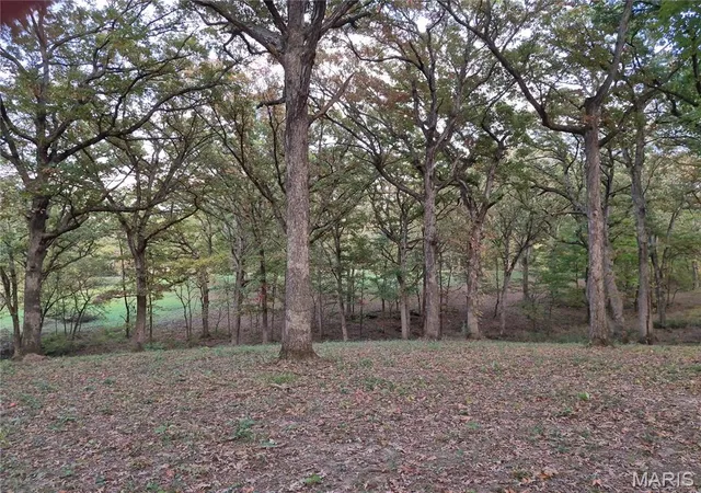 Homes for sale in Eolia, MO | 0 Hwy D - Tract 5B (109+/- Acres), Eolia, MO 63344 | MLS# MIS26036900