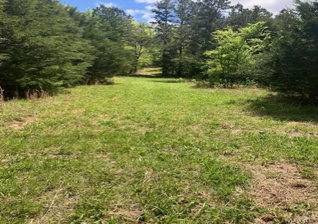 Photo 3 of Land for sale at 246 Madison Cr 410, Fredericktown, MO 63645 | MLS# MIS26036934 | Listing updated on 2026-06-10