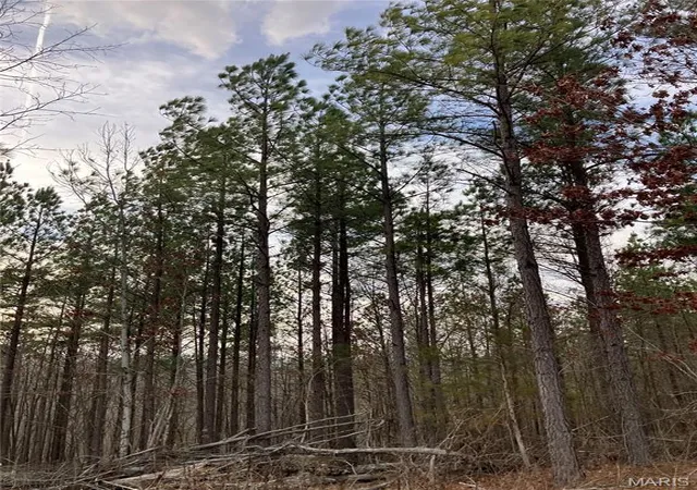 Photo 3 of Land for sale at 252 Madison Cr 410, Fredericktown, MO 63645 | MLS# MIS26036995 | Listing updated on 2026-07-21