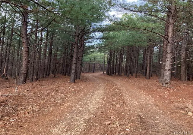 4th image of 253 Madison Cr 410, Fredericktown, MO 63645 | MLS# MIS26036996