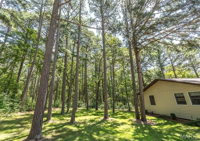 Homes for sale in Licking, MO | 11545 Slaughter Road, Licking, MO 65542 | MLS# MIS26037186