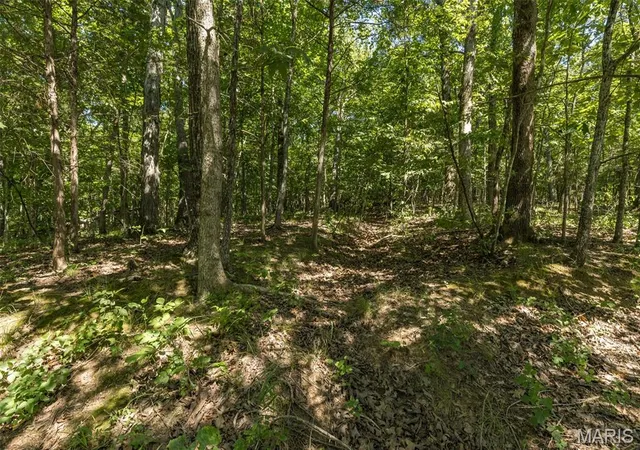 Homes for sale in Bonne Terre, MO | 0 Charmaine Dr, Bonne Terre, MO 63628 | MLS# MIS26037435