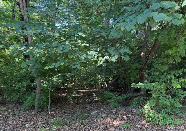 Photo 3 of Land for sale at 691 Castlecliff Rd, Ballwin, MO 63021 | MLS# MIS26037522 | Listing updated on 2026-06-13