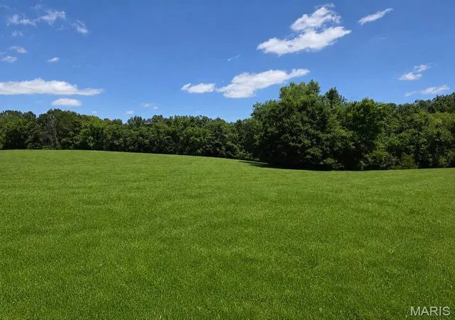 5th image of 7 Iron Horse Trl, Labadie, MO 63055 | MLS# MIS26037588