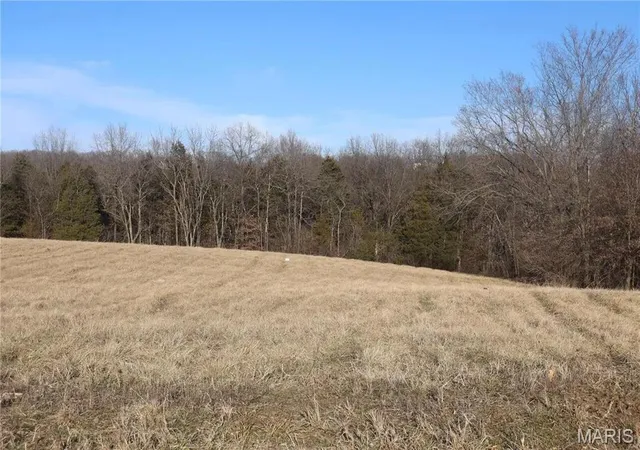 10th image of 7 Iron Horse Trl, Labadie, MO 63055 | MLS# MIS26037588