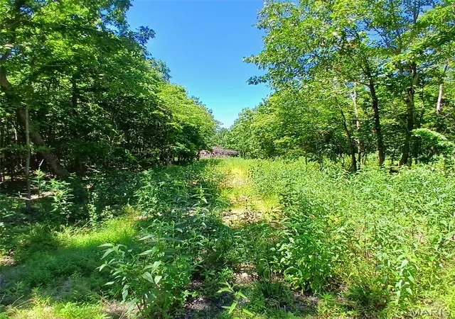 Homes for sale in Annapolis, MO | 0000000 Easement, Annapolis, MO 63620 | MLS# MIS26037590