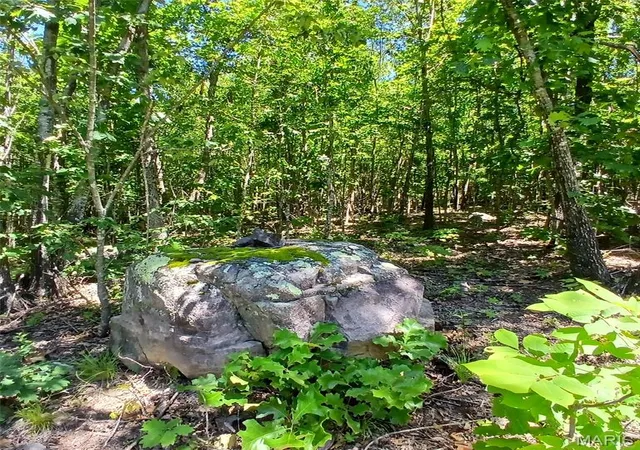 Homes for sale in Annapolis, MO | 0000000 Easement, Annapolis, MO 63620 | MLS# MIS26037590