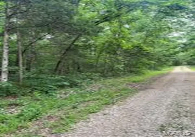 Photo 3 of Land for sale at 0 Rue Felice, Bonne Terre, MO 63628 | MLS# MIS26037654 | Listing updated on 2026-09-29