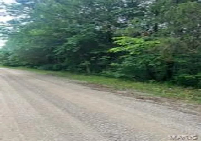 Photo 3 of Land for sale at 0 Rue Felice, Bonne Terre, MO 63628 | MLS# MIS26037654 | Listing updated on 2026-09-29