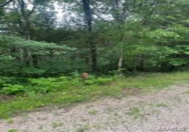 Photo 4 of Land for sale at 0 Rue Felice, Bonne Terre, MO 63628 | MLS# MIS26037654 | Listing updated on 2026-09-29