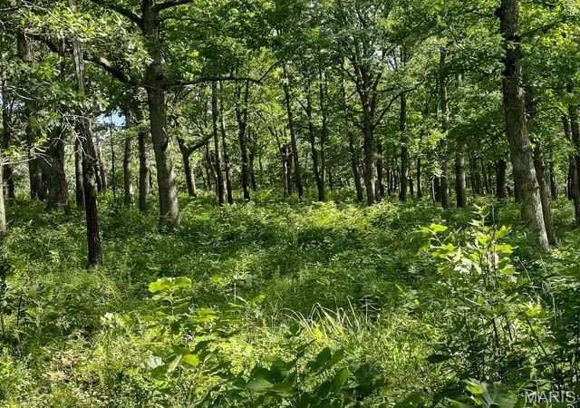 1st image of 36501 Mohave Dr, Eldridge, MO 65463 | MLS# MIS26037718