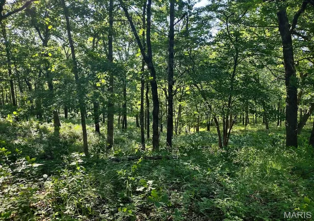 2nd image of 36501 Mohave Dr, Eldridge, MO 65463 | MLS# MIS26037718