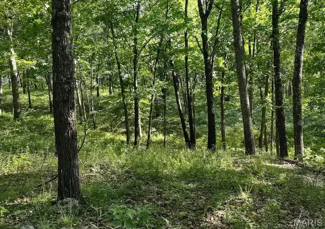 Photo 3 of Sale Pending at 36501 Mohave Dr, Eldridge, MO 65463 | MLS# MIS26037718 | Listing updated on 2026-10-07