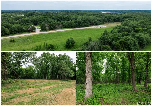 Homes for sale in Perry, MO | 17 Halyon Estates, Perry, MO 63462 | MLS# MIS26037774