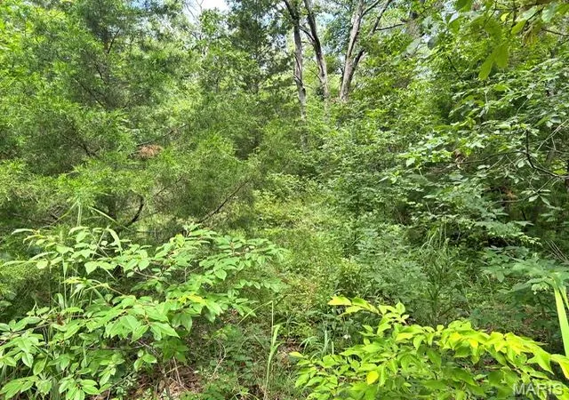 1st image of 595 Utica Dr, Bismarck, MO 63624 | MLS# MIS26037799